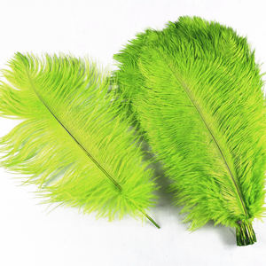 Plumes multicolores 15-20CM Plume d'autruche pour mariage, fête, danse, ornements de carnaval - Product Image 3