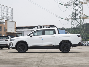 Nuovo Pickup Elettrico 4x4 Geely Radar Rd6 2025, Auto Elettrica con Autonomia di 6520 km - Product Image 5