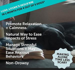 Private Label Natuurlijke Hond Kalmerende Zachte Kauwsupplement Helpt Angst En Blaffende Stressverlichting Met Melatonine En Ashwagandha - Product Image 3