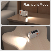 Solarbetriebenes FM-Radio 2000mAh Powerbank mit LED-Taschenlampe Tragbares Notladegerät für Outdoor-Camping