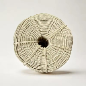 <span class=keywords><strong>Corde</strong></span> en <span class=keywords><strong>sisal</strong></span> blanchie haute résistance, souple et flexible, pour décoration animale de compagnie, griffoir pour <span class=keywords><strong>chat</strong></span>, matériau en fibre durable - Product Image 5
