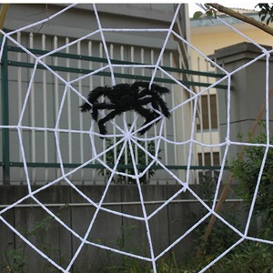 Décoration de toile d'araignée d'Halloween pour extérieur, filet en nylon noir et blanc pour fête, décorations de maison hantée - Product Image 5