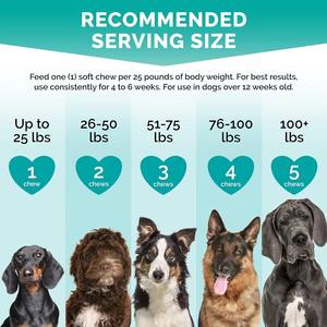 Suplementos para Perros de Marca Privada OEM/ODM, Mezcla de Enzimas Calmantes y Probióticos en Tabletas Masticables, Promueve la Salud Digestiva, Bueno para Dormir - Product Image 5