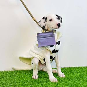 Free sample Custom Logo Pet <b>Treat</b> <b>Pouch</b> Reward Bag Food Container Feed <b>Dogs</b> Poop Bag Holder For Training Walking Clip On Leash - Product Image 5