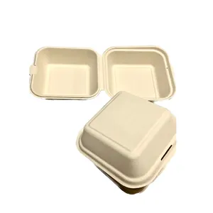 Bagasse Biodegradable Paper Take-out Food Containers Clam Shells Bagasse One-time 10-inch Three-compartment