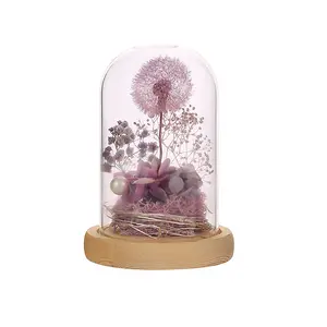 Bola de diente de león seca, flor de hortensia preservada en cúpula de cristal con luz para regalo de niña, novedad
