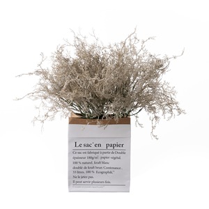 Arreglo de Flores Artificiales de Artemisia Beige, Decoración Interior de Plástico, Artesanía, Decoración para Bodas - Product Image 5