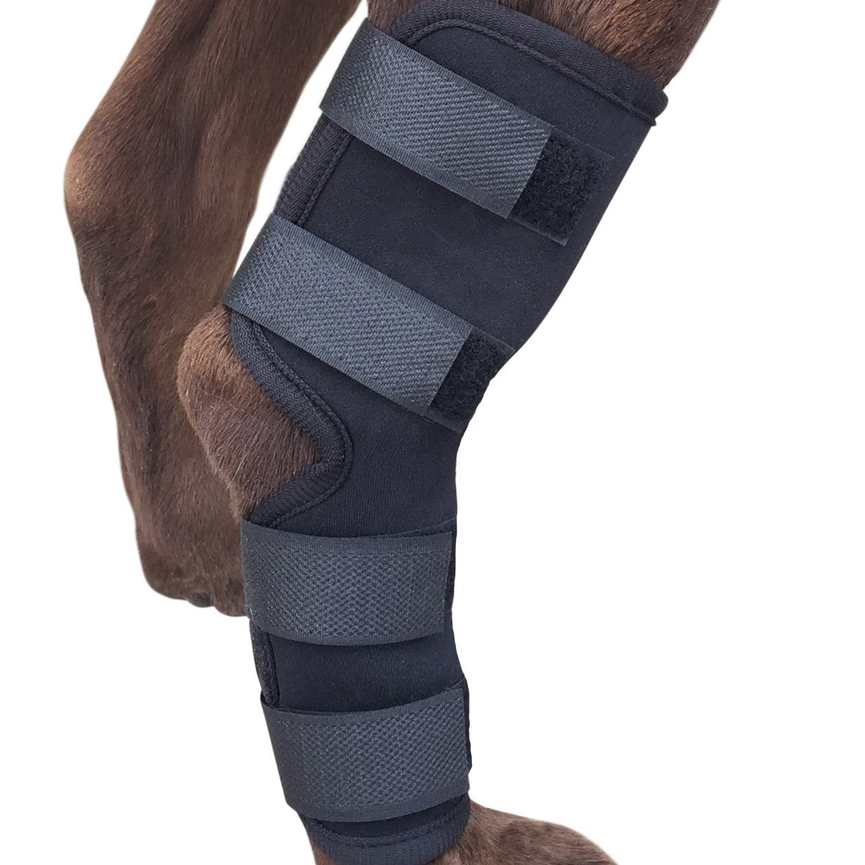 Ortocanis Dog Knee Brace Luxating Patella Brace for Dogs Front Leg Brace for Dogs Hip Brace for Dogs with Dysplasia