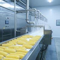 Verse Zoete Maïs Koken En Diepe Verwerkingslijn