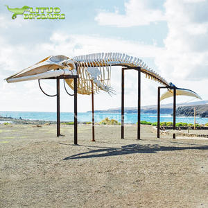 Park Vierkante Strand Landschap Display Decoratie Gigantische Dieren Walvis Skelet Fossiel - Product Image 2