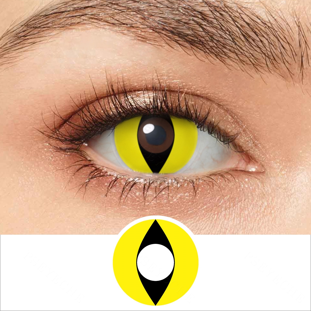 Oeil de chat jaune RY139