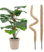 Tongkat joran tanaman creeper kelapa alami joran coco joran Coir