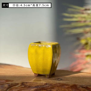 Macetas <span class=keywords><strong>de</strong></span> cactus suculentas para balcón, Decoración <span class=keywords><strong>de</strong></span> mesa <span class=keywords><strong>de</strong></span> interior, macetas <span class=keywords><strong>de</strong></span> flores <span class=keywords><strong>de</strong></span> cerámica <span class=keywords><strong>de</strong></span> diseño único - Product Image 2