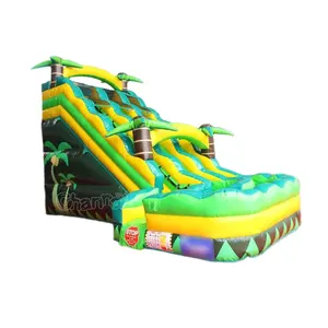 Warna Hijau Tropis Dual Lane Inflatable Water Slide Dijual