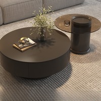 Table basse de style italien haut de gamme - Table à thé moderne minimaliste de luxe léger avec plateau en pierre - Meuble de salon grande capacité