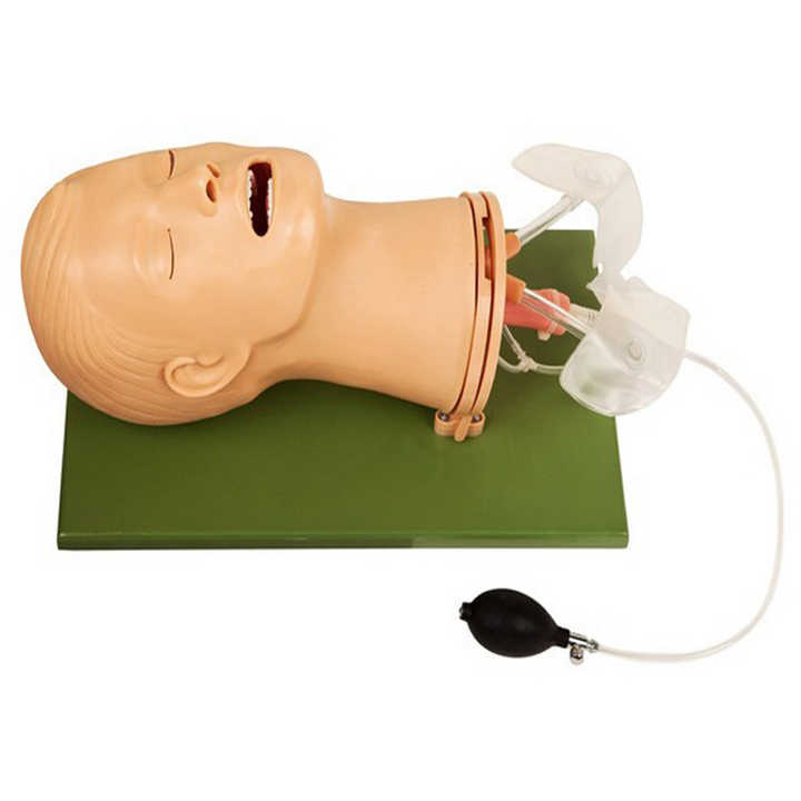 Airway Management Training Manikin - Healthcare Patient Simulator For Medical Education (Model 220090)