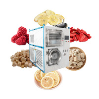 Séchoir industriel de congélation de fruits, grande capacité abordable 30kg 100kg par lot Machine de séchage de congélation de légumes