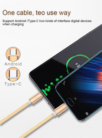 Nylon coloré tressé 2-en-1 USB multi-chargeur câble porte-clés chargeur de téléphone pour IOS et écouteurs Compatible Micro/Type câble de données