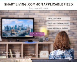 2024 mới tuya <span class=keywords><strong>ZigBee</strong></span> thông minh <span class=keywords><strong>IR</strong></span> pin hoạt động không dây phổ hồng ngoại điều khiển từ xa <span class=keywords><strong>Repeater</strong></span> HUB cho Alexa Google nhà - Product Image 4