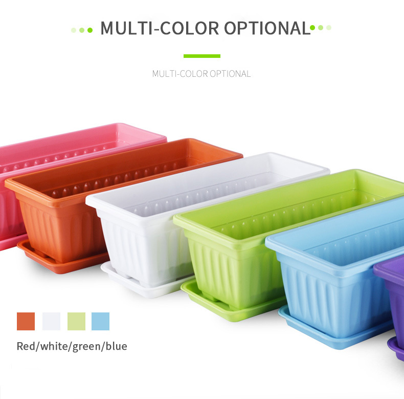 multicolore