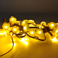Guirlande lumineuse LED 20 mm IP67, contrôle multifonction, lumières de Noël d'extérieur pour jardin, paysage, corps en PC, corps en PC, indice de protection IP