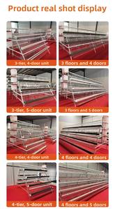Cage à volailles en acier à 3 niveaux et 5 portes, type A, pour 120 poulets/palette, <span class=keywords><strong>poulailler</strong></span> pour poules pondeuses - Product Image 6