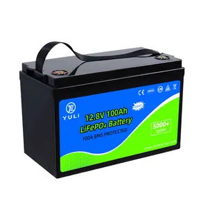 OEM 12v 100Ah lifepo4 bateria 1280Wh batteria solare al litio 12.8v lifepo4 batteria di accumulo di energia