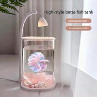 Aquarium ultra-transparent pour guppies - Petit aquarium populaire pour guppies - Aquarium rectangulaire créatif pour plantes aquatiques pour guppies