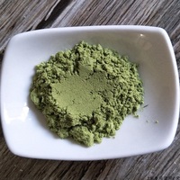 Ventes directes d'usine de haute qualité assaisonnement alimentaire japonais raifort vert Halal poudre de wasabi