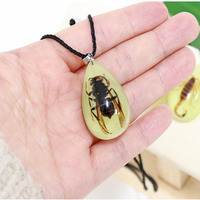 Collier en résine transparente tendance qui brille dans le noir, insecte naturel, ambre