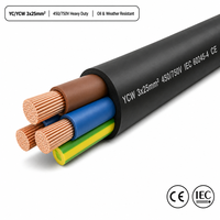 Câble électrique en caoutchouc YC YCW 3x25mm2, 3 conducteurs, 450/750V, cuivre, haute résistance, pour machines triphasées