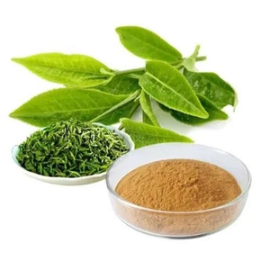 Polyfenol Groene Thee <span class=keywords><strong>Extract</strong></span> Voedingsmiddelkwaliteit Kruidenplantenextract Poeder 98% Zuiver Silica Actief Ingrediënt Trommel Gezondheidszorg - Product Image 2