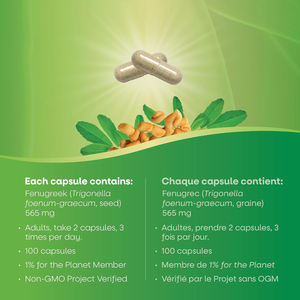 Capsule de fenugrec ashwagandha de haute qualité Capsules d'extrait de graines de fenugrec Capsules de soutien à la bonne santé globale du fenugrec - Product Image 2