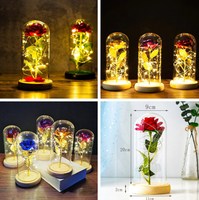 Bunga Valentine kecantikan dan hewan bunga mawar merah dalam kubah kaca dengan lampu tunggal hadiah mawar buatan unik untuk ibu