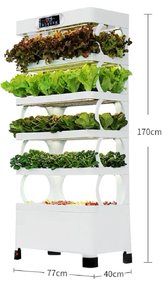 Hot bán Chất lượng cao thủy canh container, tưới tiêu nông nghiệp, trong nhà trồng thủy canh hệ thống - Product Image 4