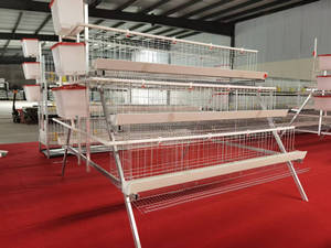 Jaula para Pollos de Engorde con Sistema de Alimentación Automática, Galvanizada en Caliente, Resistente, Jaula Profesional para Cría de Aves de Corral - Product Image 4