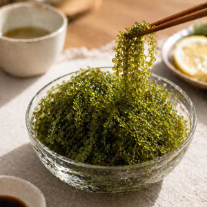 Raisins de mer verts frais, algues comestibles, 100% naturels, stockage à froid, fruits de mer sains, Propinsi Sulawesi Selatan Indonésie - Product Image 1