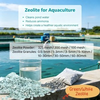 Poudre de zéolite haute performance pour la gestion des étangs et la santé aquacole – Minéraux naturels de clinoptilolite – Grand stock