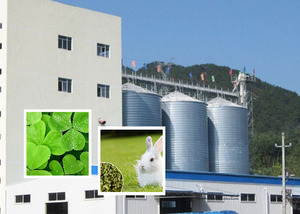 Nuevo proyecto llave en mano, línea de pellets de alimentación de buey de pollo, Silo de alimentación para ganado de granja, máquina para fabricar piensos, máquinas de procesamiento de piensos - Product Image 5