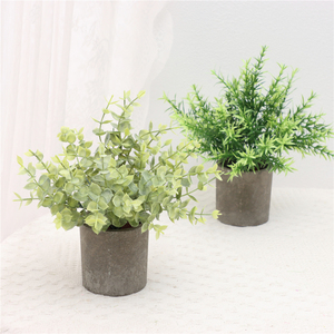 Lot de 5 plantes artificielles Greatflower durables pour <span class=keywords><strong>intérieur</strong></span> : <span class=keywords><strong>Eucalyptus</strong></span>, Romarin, Succulentes en <span class=keywords><strong>pot</strong></span> en papier pour décoration de bureau et de maison - Product Image 3