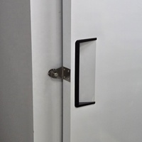 Congélateur commercial à température unique Mr Frio, vitrine à glace, sans givre, compresseur Danfoss, deux portes, en acier inoxydable