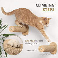 Ensemble d'escaliers et d'étagères pour chat à plusieurs niveaux à fixer au mur, escaliers pour chat en bois, corde de sisal, décoration d'Halloween et de Noël pour une utilisation en intérieur