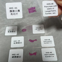 100Pcs Set Higher Education Standards Human Histology Prepared Slides for Microscope Prepared Slides