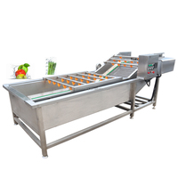 Automatische industriële groente- en fruitbellenwasmachine motor hoge precisie 304 roestvrijstalen verwerkingslijn maïsmeel
