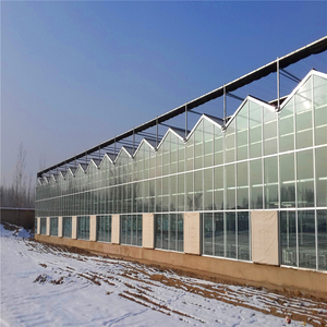 Invernadero Económico de Acero Galvanizado en Caliente de Gran Tamaño y Múltiples Tramos con Vidrio Templado para <span class=keywords><strong>Agricultura</strong></span> Hidropónica - Product Image 6