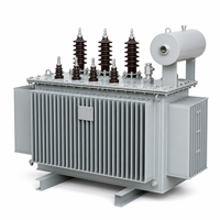 HDT S13-M 100kVA-315kVA Üç Fazlı Yağlı Tip Dağıtım Trafosu 10kV 110kV 220kV NX3 IEC OEM ODM Orta Doğu CE