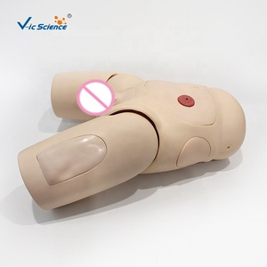 Modèle avancé de cathétérisme masculin avec structure urétrale et pelvienne simulées pour la formation clinique des étudiants en soins infirmiers - Product Image 4