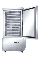 Armoire réfrigérée en acier inoxydable haute vitesse, idéale pour les restaurants proposant du poisson, des fruits de mer et de la viande.