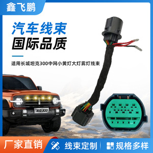 Faisceau de câblage étanche personnalisé pour feux de voiture Great Wall Tank 300, IP65, 12V, isolation PVC - Product Image 5