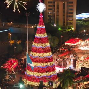 Bán Hot Huge vẻ đẹp LED thắp sáng khổng lồ trang trí nhân tạo Cây giáng sinh - Product Image 6